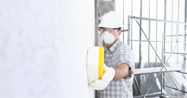 Why You Should Choose Our Mold Remediation Services in Laguna Heights, TX