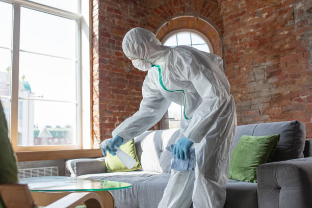 Professional Mold Inspection in Laguna Heights, TX